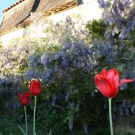 Bed & Breakfast Le Manoir De Juillereau